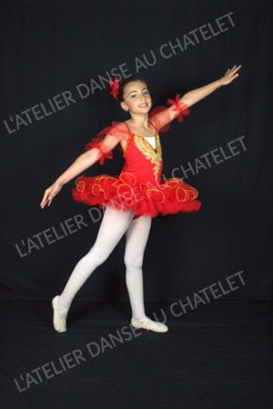 Camelia-05-web